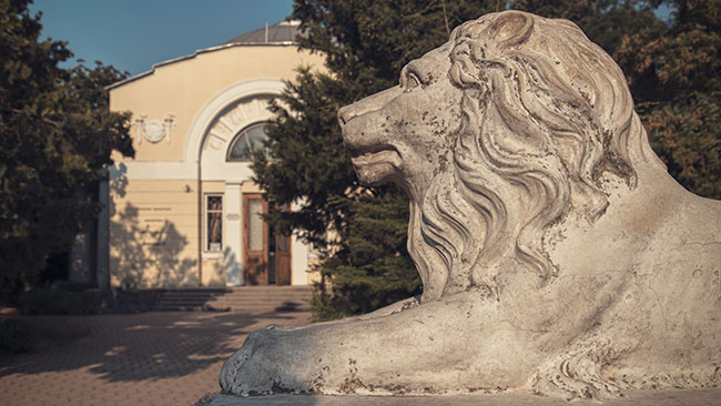 библиотека, Евпатория