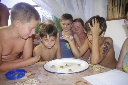 Улиточные бега