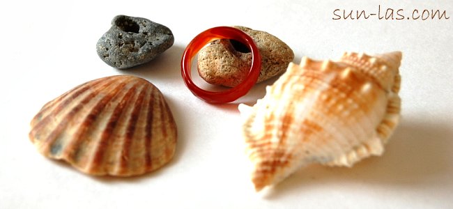 Ракушки и камни из Чёрного моря